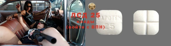 стаф Пересвет