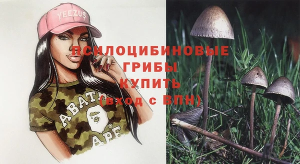 соль ск Киреевск