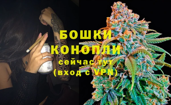 стаф Пересвет