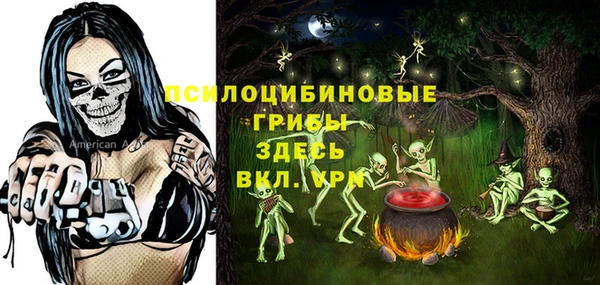 стаф Пересвет