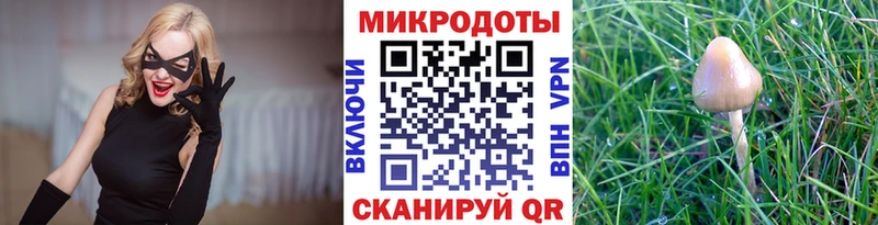 Купить где  Вышний Волочёк  Псилоцибиновые грибы GOLDEN TEACHER 